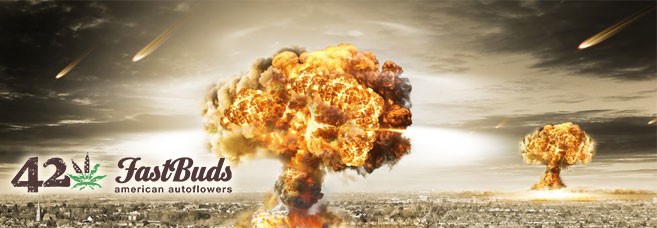 5 мощных автоцветов от FastBuds