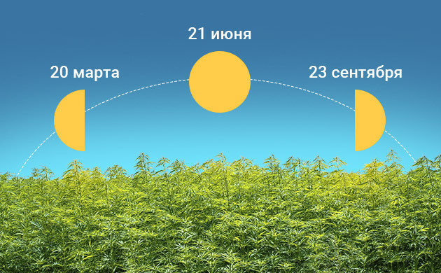 Сокращение светового дня после 21 июня