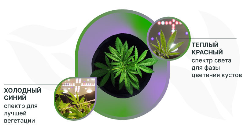 Холодный синий и теплый красный