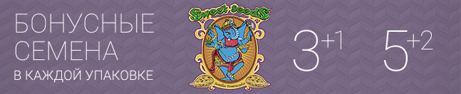 Акция от Sweet Seeds 3+1 и 5+2