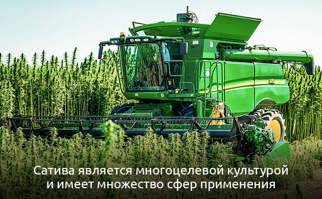 Многоцелевая культура