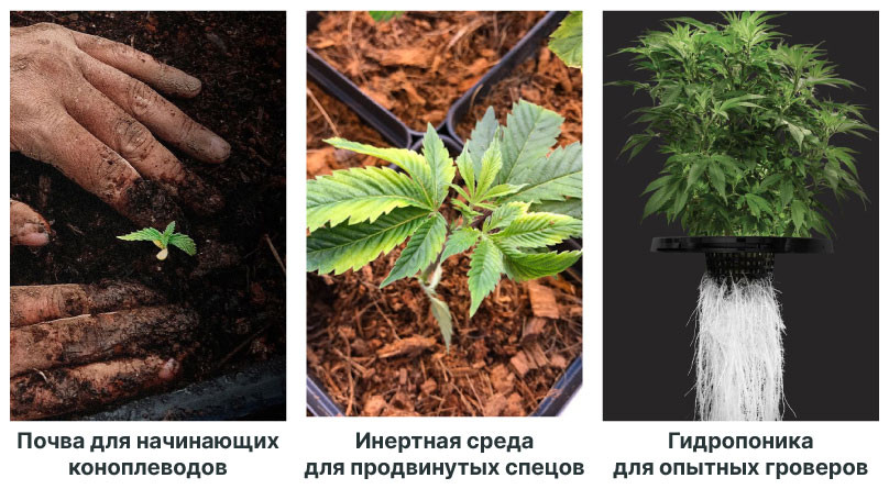 Почва для выращивания