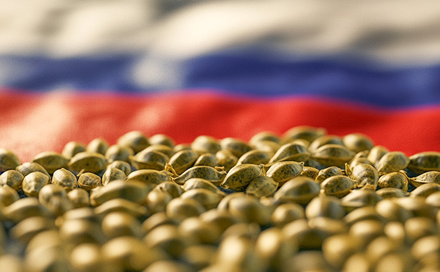 Законы РФ и семена конопли