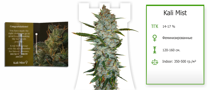 kali_mist семена конопли