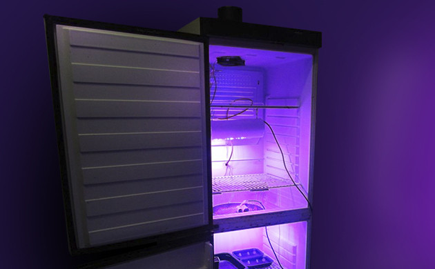 Обустройство гроубокса в холодильнике