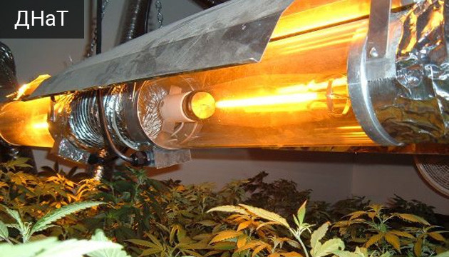 ДНаТ лампа греет температуру