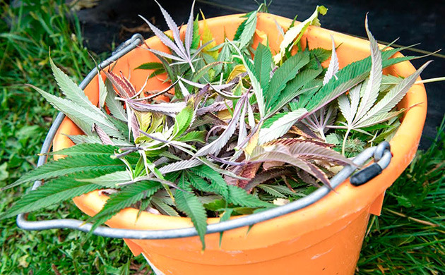 Принципы метода дефолиации