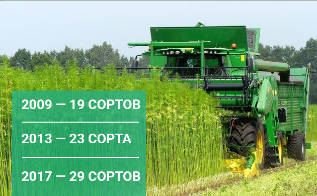 К 2017 году появилось 29 сортов технической конопли