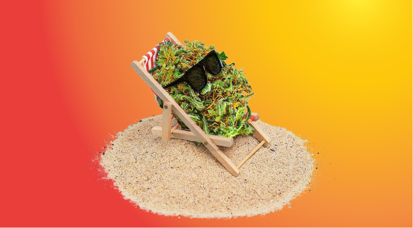 Выбор лампы для выращивания конопли