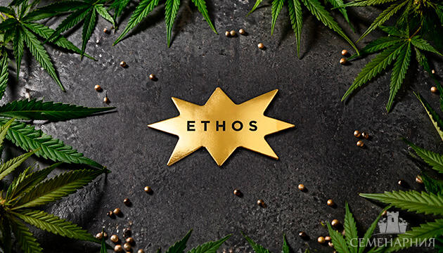 Новинки от Ethos Genetics