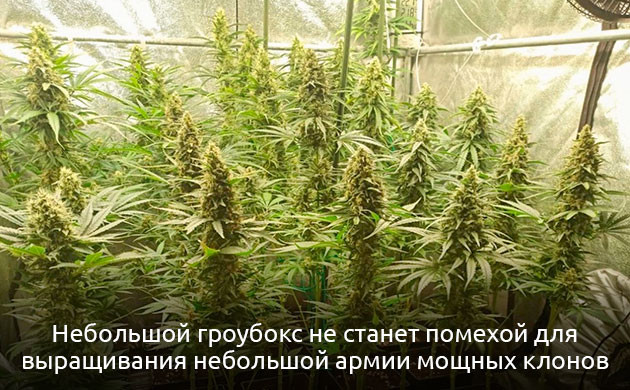 Размер помещения