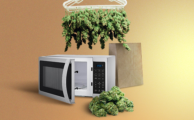 Высушивание конопли в микроволновке