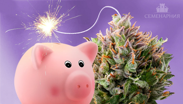 Мощные и недорогие