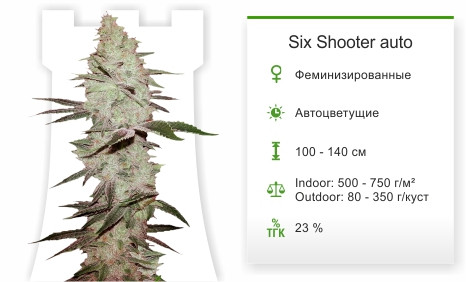 Six Shooter auto от FastBuds