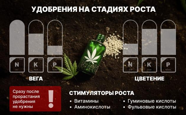 Удобрения на всех стадиях жизни конопли