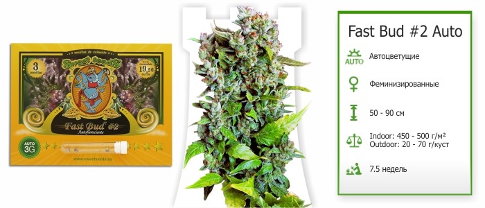 Fast Bud #2 Auto