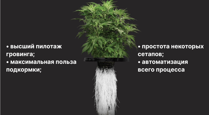 Гидропонное выращивание