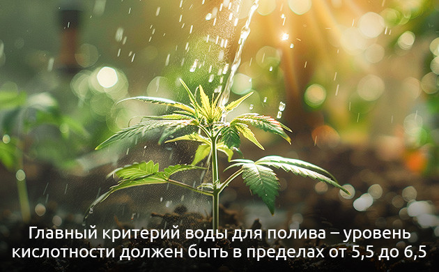 рН воды должен колебаться в пределах 5,5-6,5.