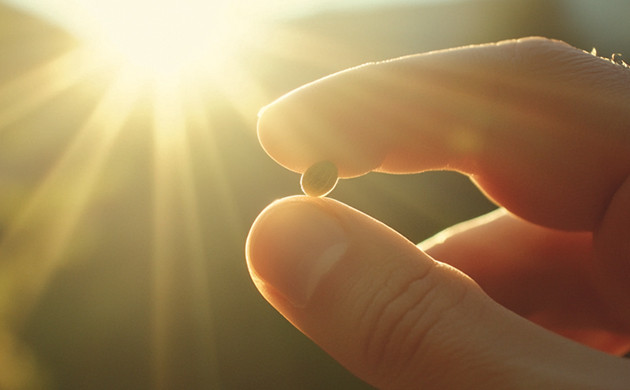 Выбор сорта для выращивания