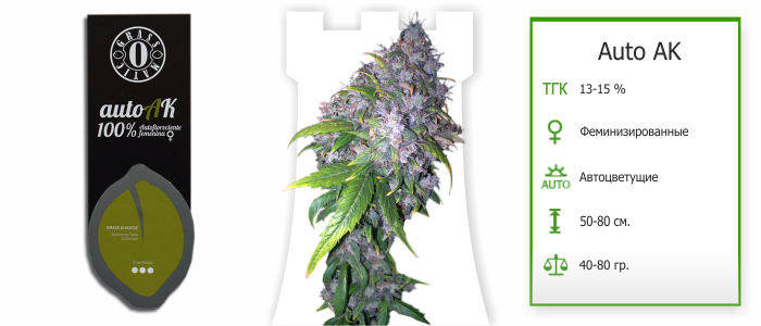 Семена конопли Auto AK