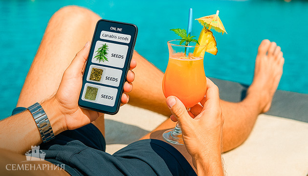 Как купить семена безопасно и удобно