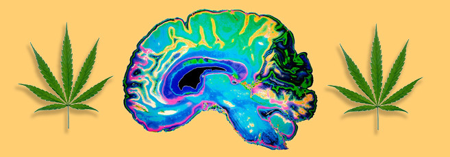 Микро и макроэлементы, необходимые для конопли