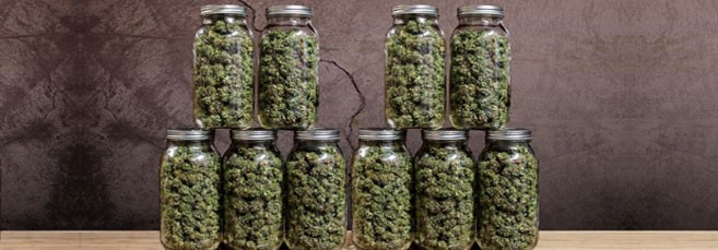 Пролечка шишек