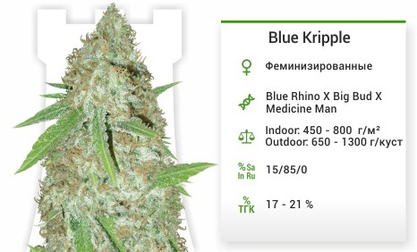 Blue Kripple