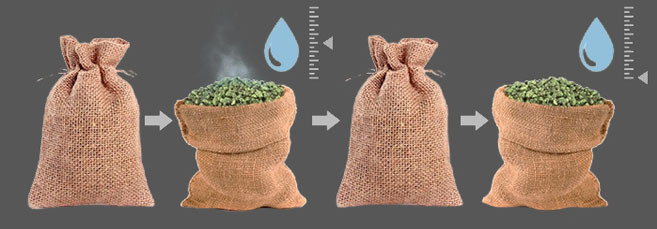 Инструкция по ферментации конопли