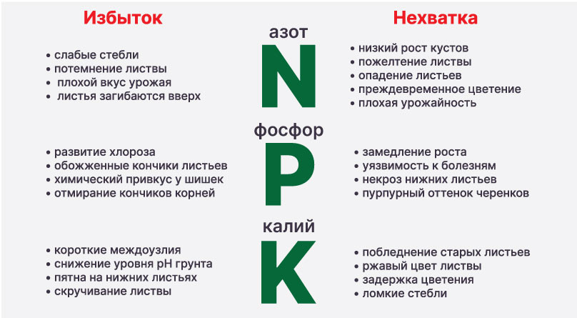 Плюсы и минусы макроэлементов