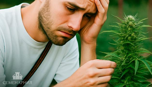 Недостатки выращивания автоцветов