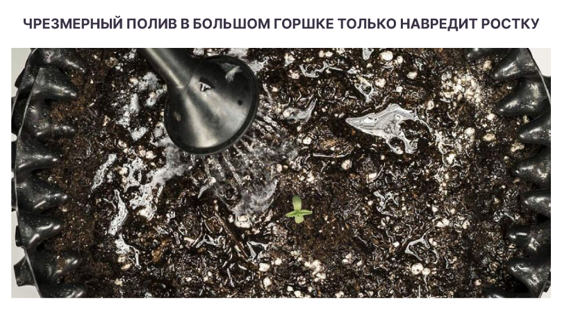 Чрезмерный полив