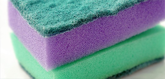 Семена конопли между губками