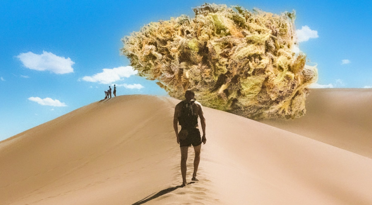 Марихуана в Морокко