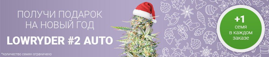 Подарочное семя сорта Lowryder #2