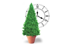 автоцветы от Heavyweight Seeds