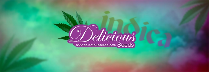 Delicious Seeds indica