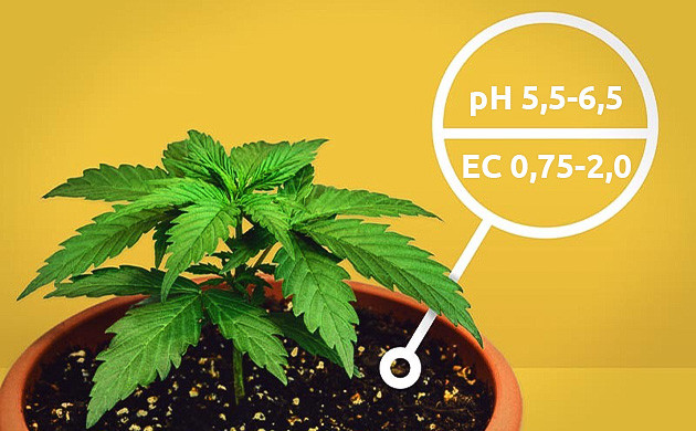Основные показатели грунта для конопли pH и EC