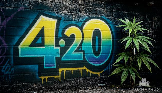 День марихуаны