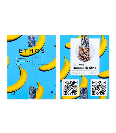 Сорт Banana Hammock RBX fem (Ethos Genetics)