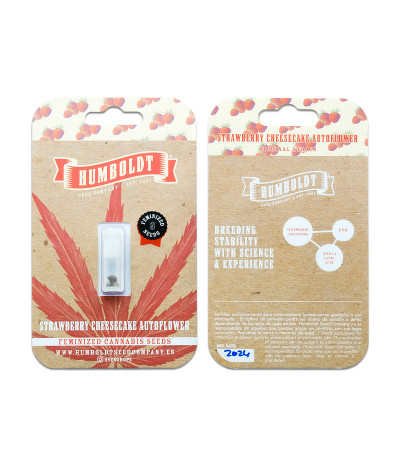 Сорт Strawberry Cheesecake Auto fem от Humboldt Seed Company