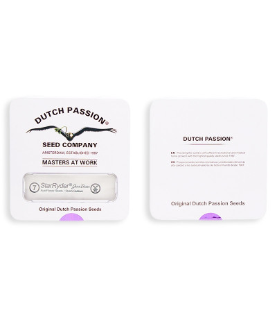 Сорт StarRyder Auto fem (Dutch Passion)