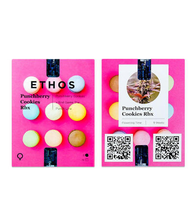 Сорт Punchberry Cookies RBX fem (Ethos Genetics)
