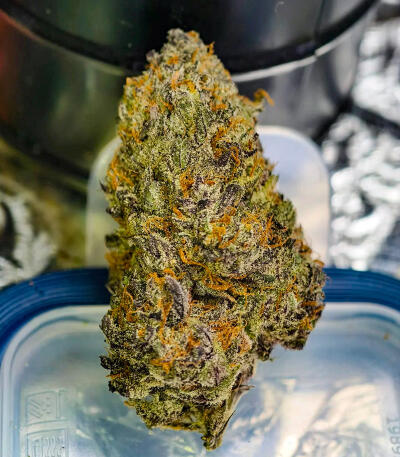 Семена сорта Purple Punch F1 fem (Seedkeepers)