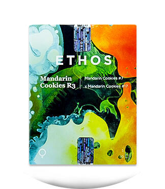 Mandarin Cookies R3 fem (Ethos Genetics)