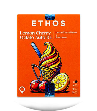 Lemon Cherry Gelato Auto R3 fem (Ethos Genetics)