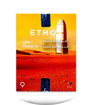 10TH Planet R1 fem (Ethos Genetics)