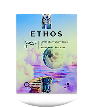 Nuggz R1 fem (Ethos Genetics)
