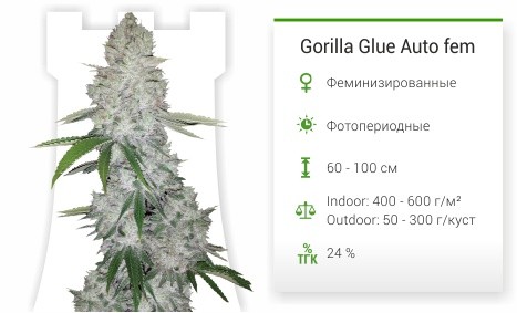 Gorilla Glue Auto от FastBuds